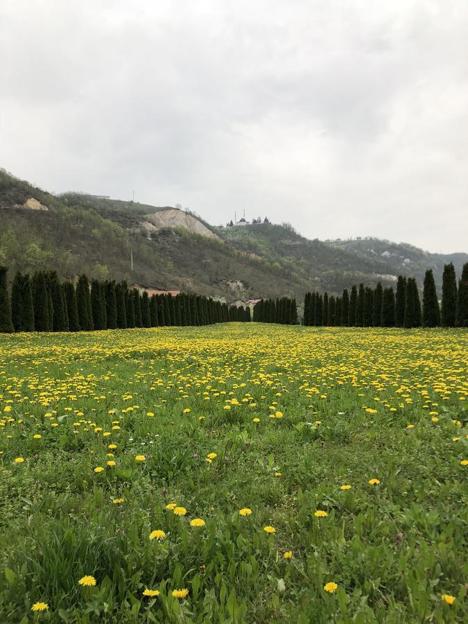 Villa Nature Біхач Екстер'єр фото